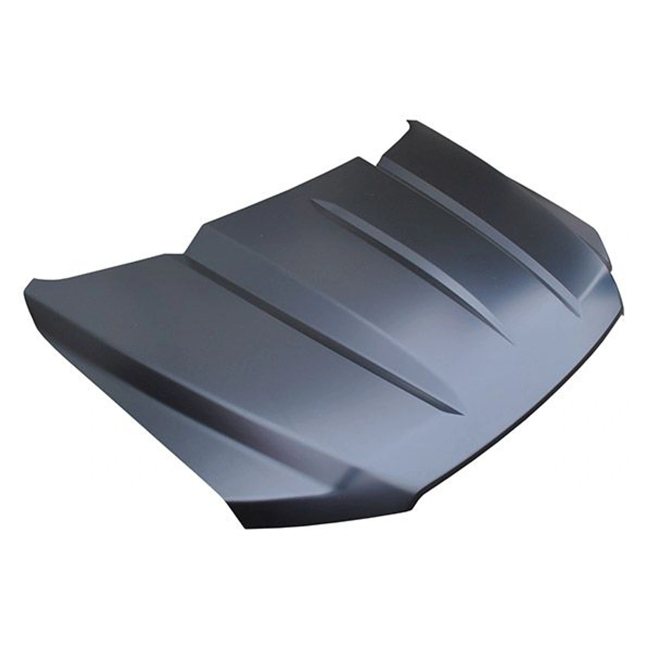 Picture of Phasellus urna chempus trorto liquation lacinia id